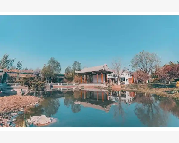 调理尿频，中医孝穴解忧